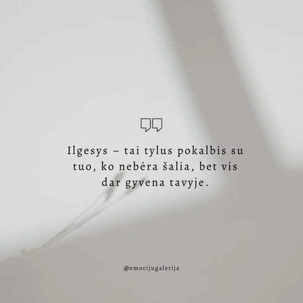 Galerija ILGESYS