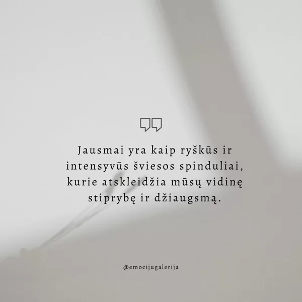 Galerija JAUSMAI